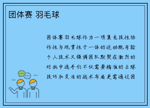 团体赛 羽毛球