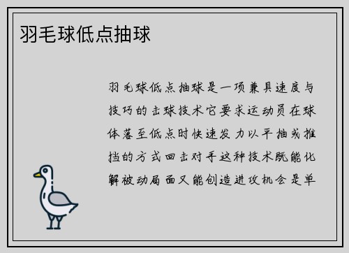 羽毛球低点抽球